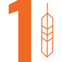 L1